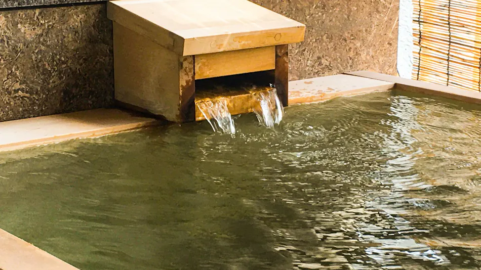 Kawafuru Onsen Yamagatakan