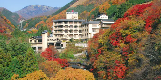 Kawafuru Onsen Yamagatakan