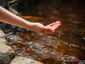 ホテルゆ華 （ゆばな）