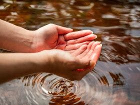 ホテルゆ華 （ゆばな）