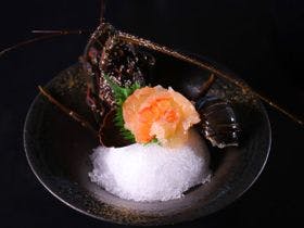 星海幽月 夢遊華