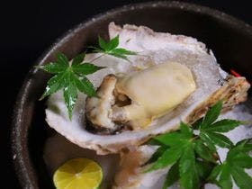 星海幽月 夢遊華