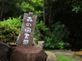 星海幽月 夢遊華