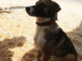 【1組限定】南の山の家COTENCHI【今帰仁】