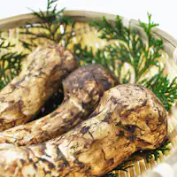 송이버섯을 호화롭게 사용한 【기간 한정 플랜】