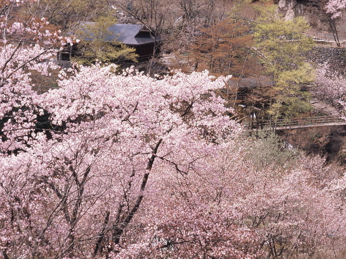 汪泉閣