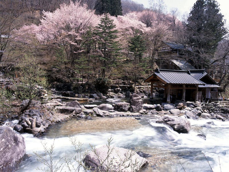 ฤดูใบไม้ผลิ