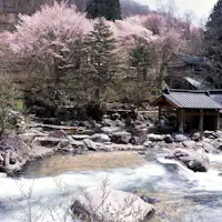 ฤดูใบไม้ผลิ