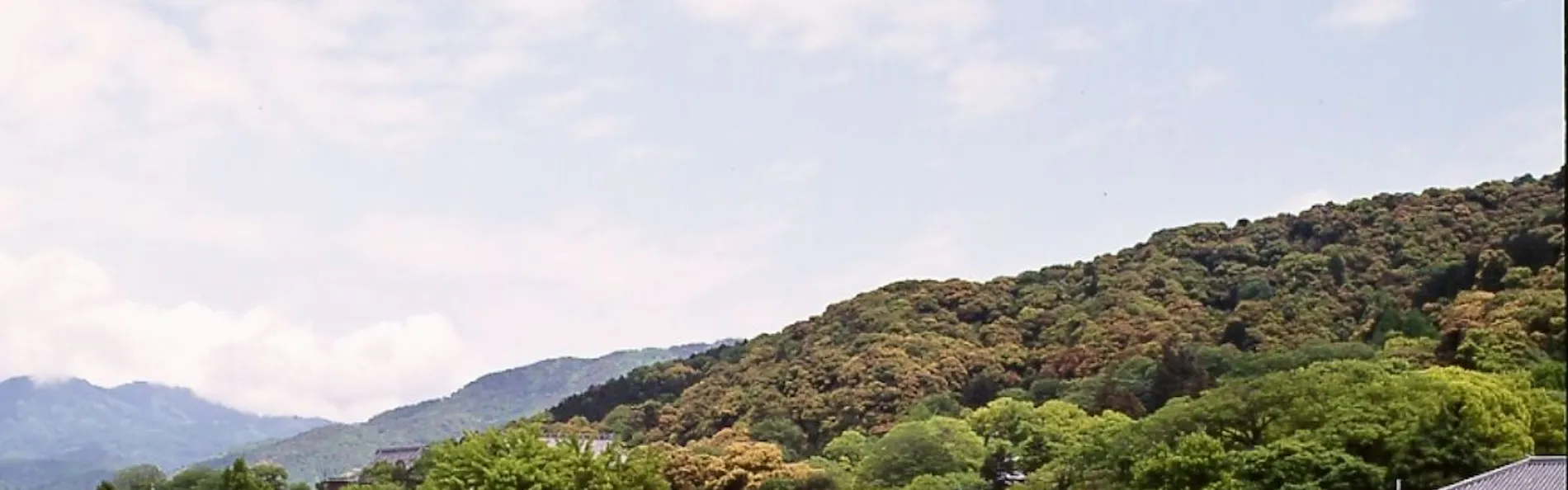 京都祇園 料理旅館 花楽
