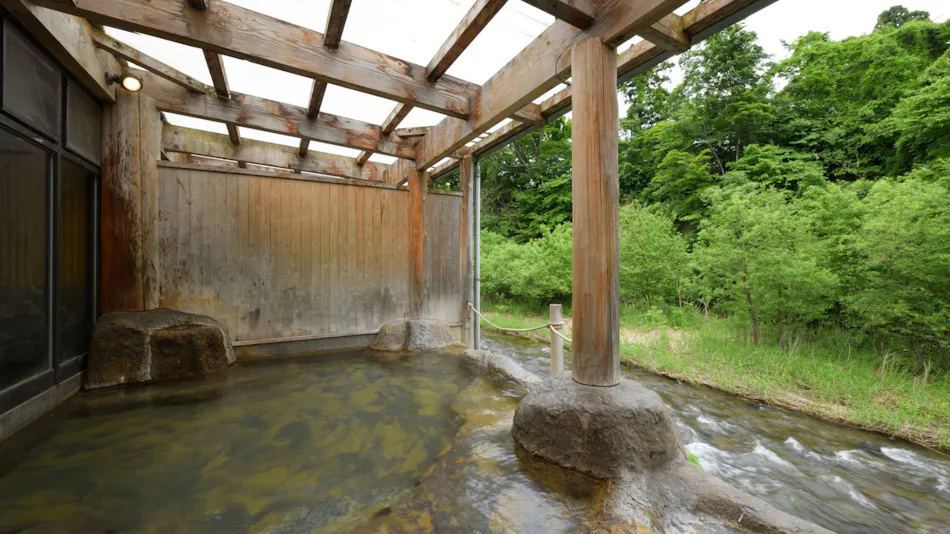 Lead Onsen Fujisan Ryokan