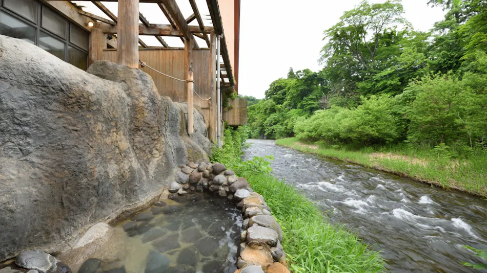 Lead Onsen Fujisan Ryokan