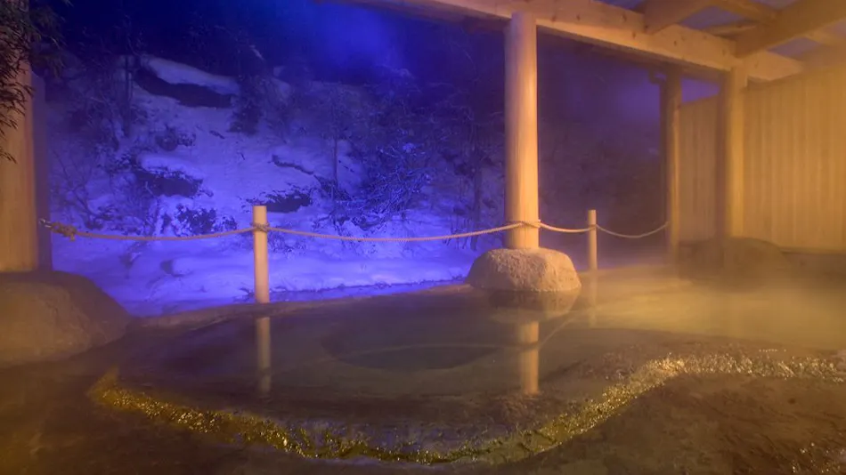 Lead Onsen Fujisan Ryokan