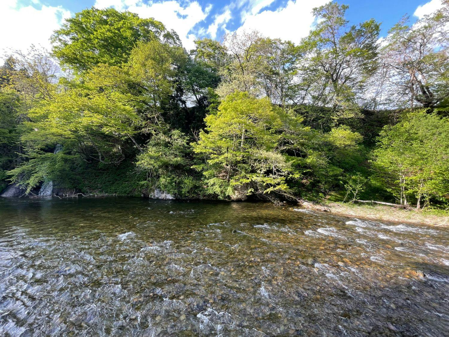 日本一深い天然自噴岩風呂を有す藤三旅館（登録有形文化財）