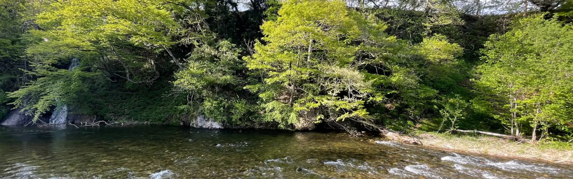 日本一深い天然自噴岩風呂を有す藤三旅館(登録有形文化財)