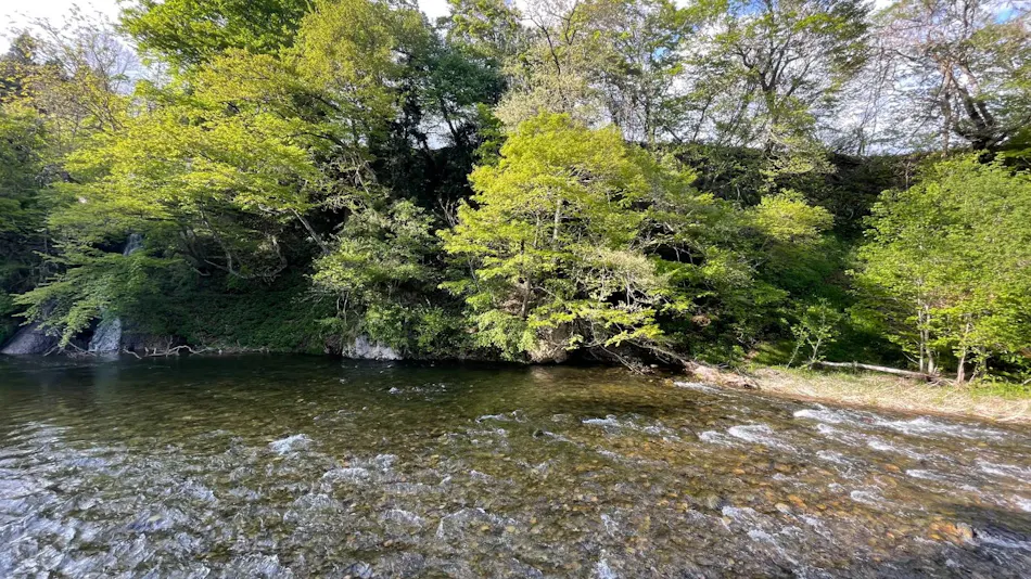 Lead Onsen Fujisan Ryokan
