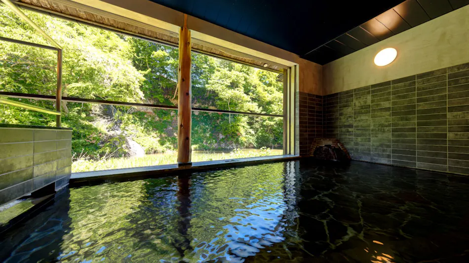 Lead Onsen Fujisan Ryokan