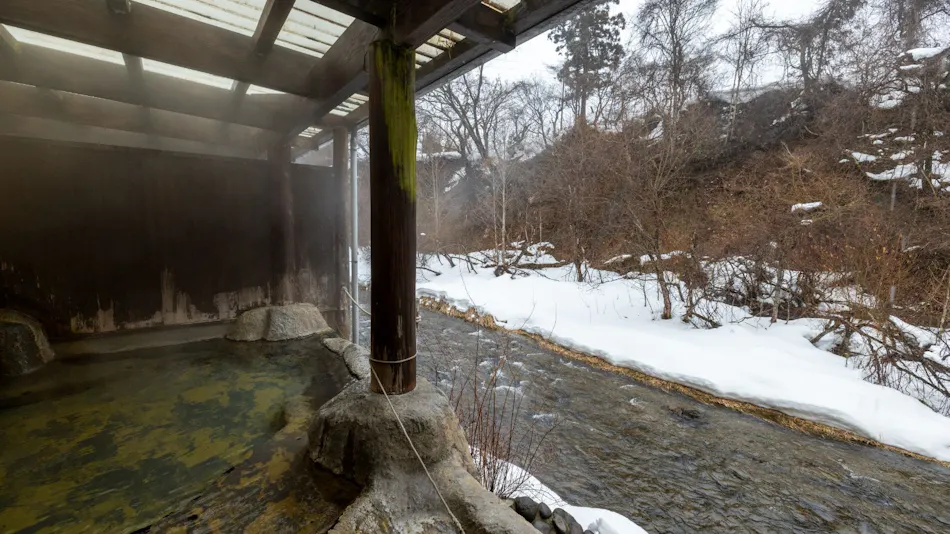 Lead Onsen Fujisan Ryokan