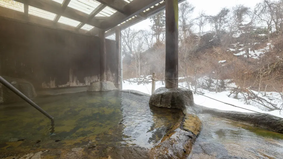 Lead Onsen Fujisan Ryokan