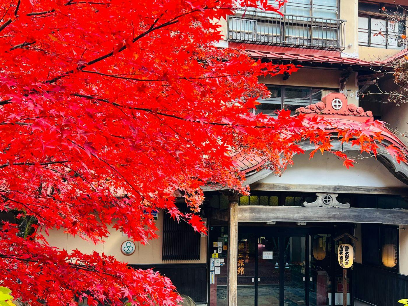日本一深い天然自噴岩風呂を有す藤三旅館（登録有形文化財）
