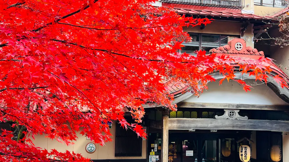 Lead Onsen Fujisan Ryokan