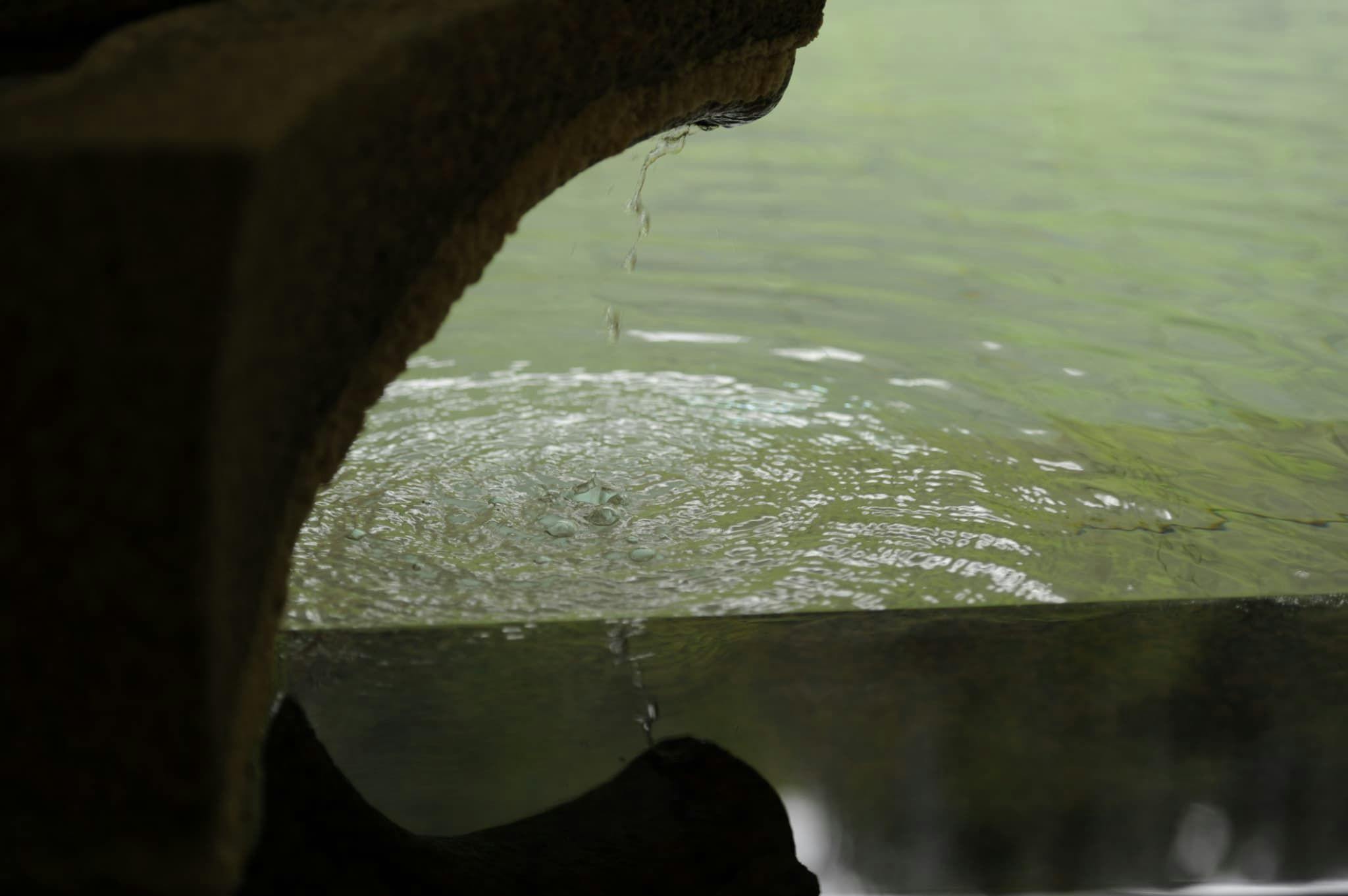 白鷺湯たわらや