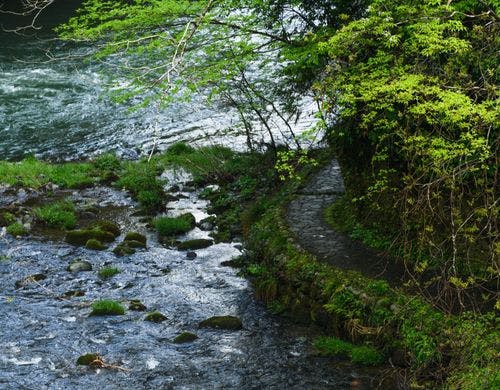 【源泉露天風呂付特別室】露天風呂の景観