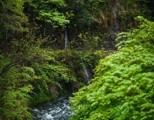 【源泉露天風呂付き特別洋室】景観イメージ