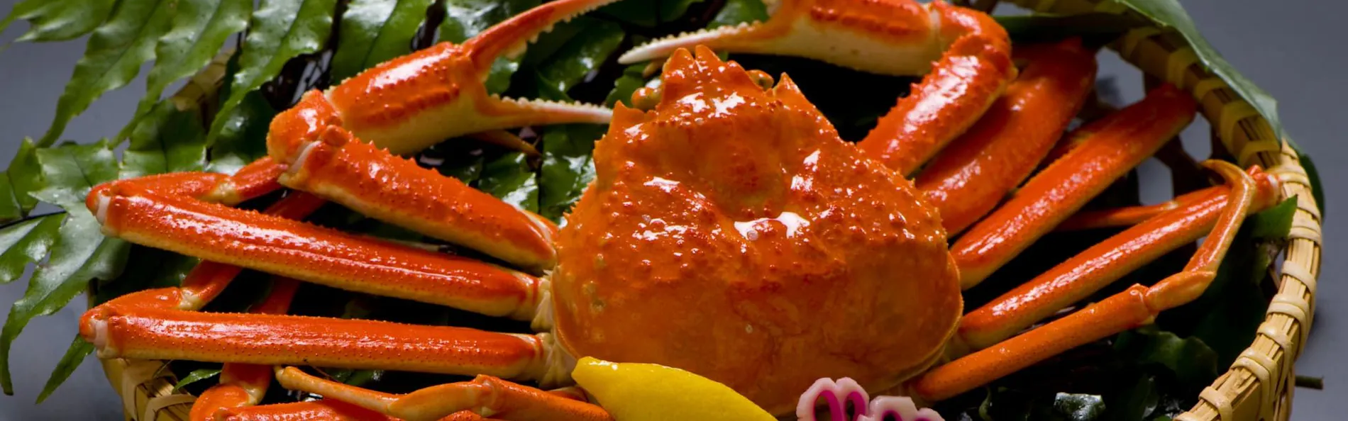 白鷺湯たわらや