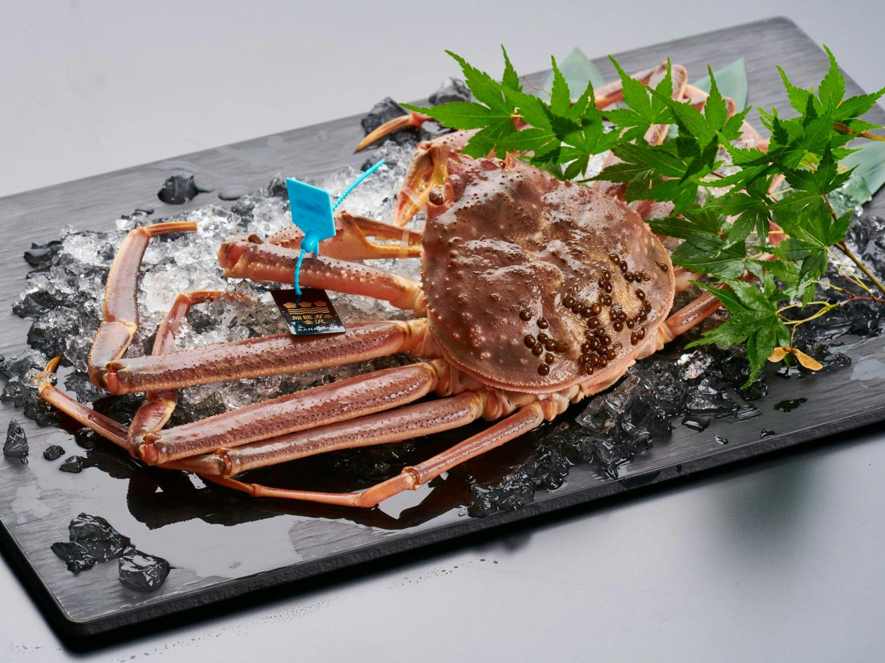 白鷺湯たわらや