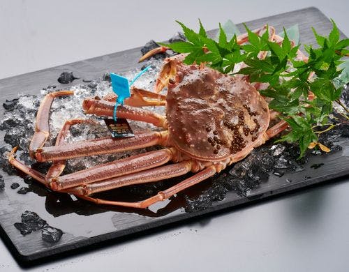 加能蟹には青色のタグが付いた本ズワイガニ