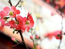 戸倉上山田温泉　美白の湯　荻原館