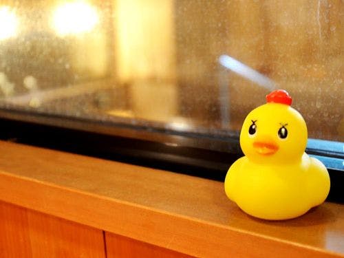 お子様のお肌にもやさしい泉質です。