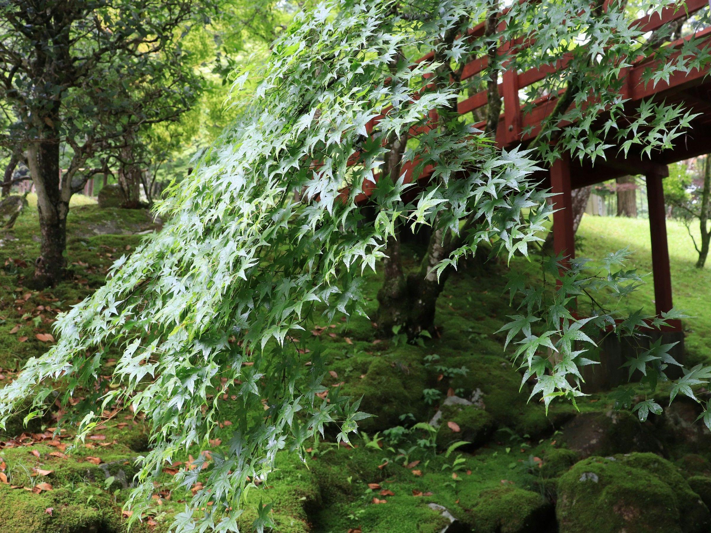 塩田温泉旅館　湯元うえやま