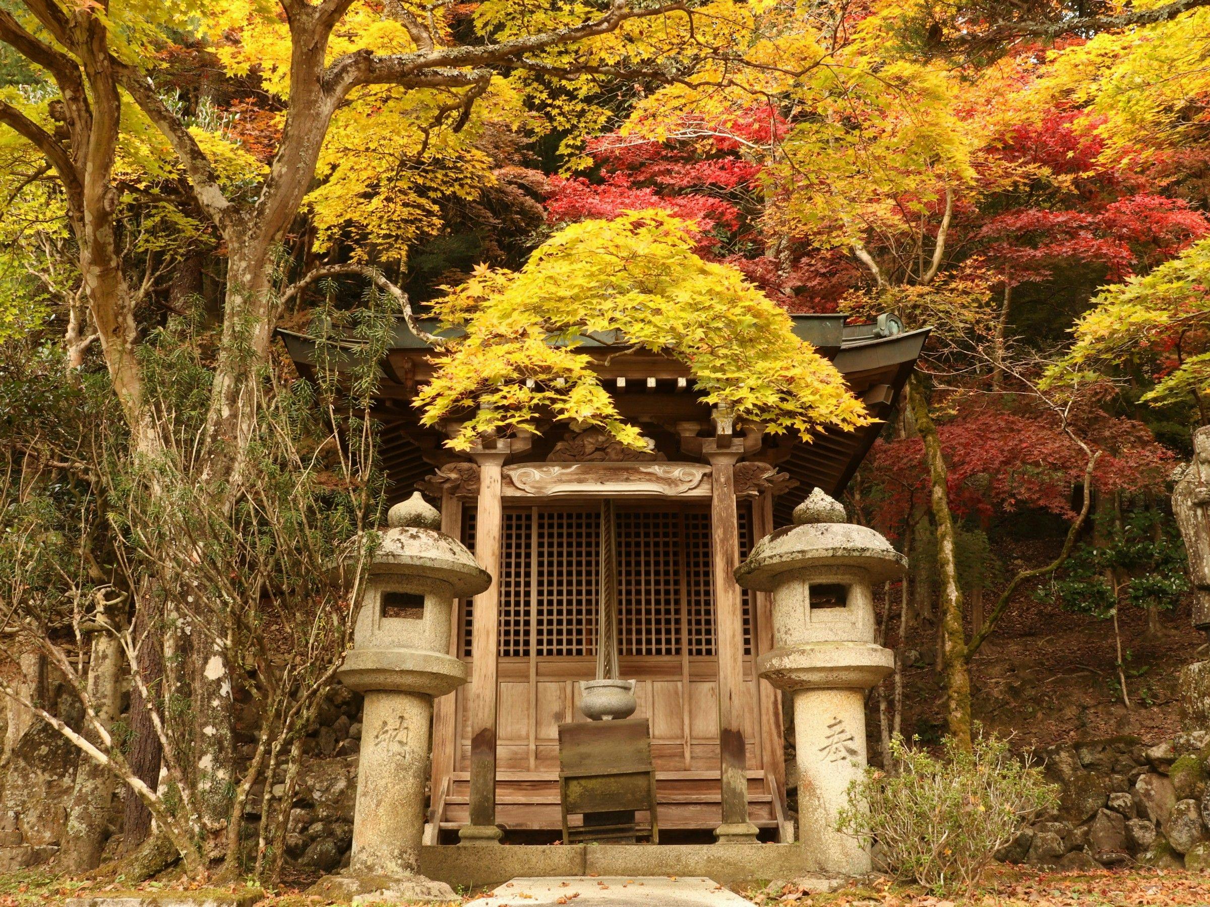 塩田温泉旅館　湯元うえやま