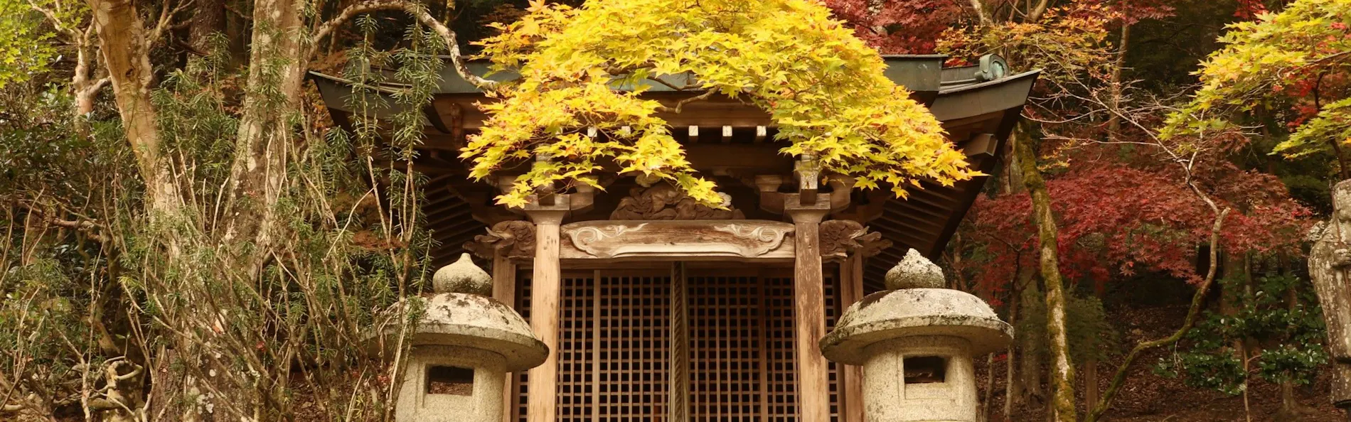 塩田温泉旅館 湯元うえやま