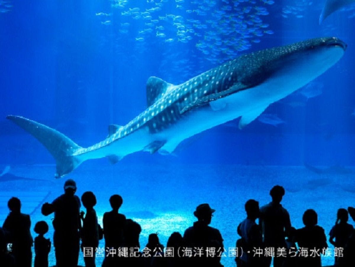 바다 속에서 수영하는 기분이 들어요♪