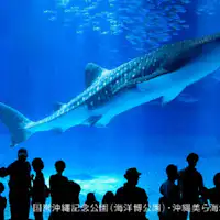 바다 속에서 수영하는 기분이 들어요♪