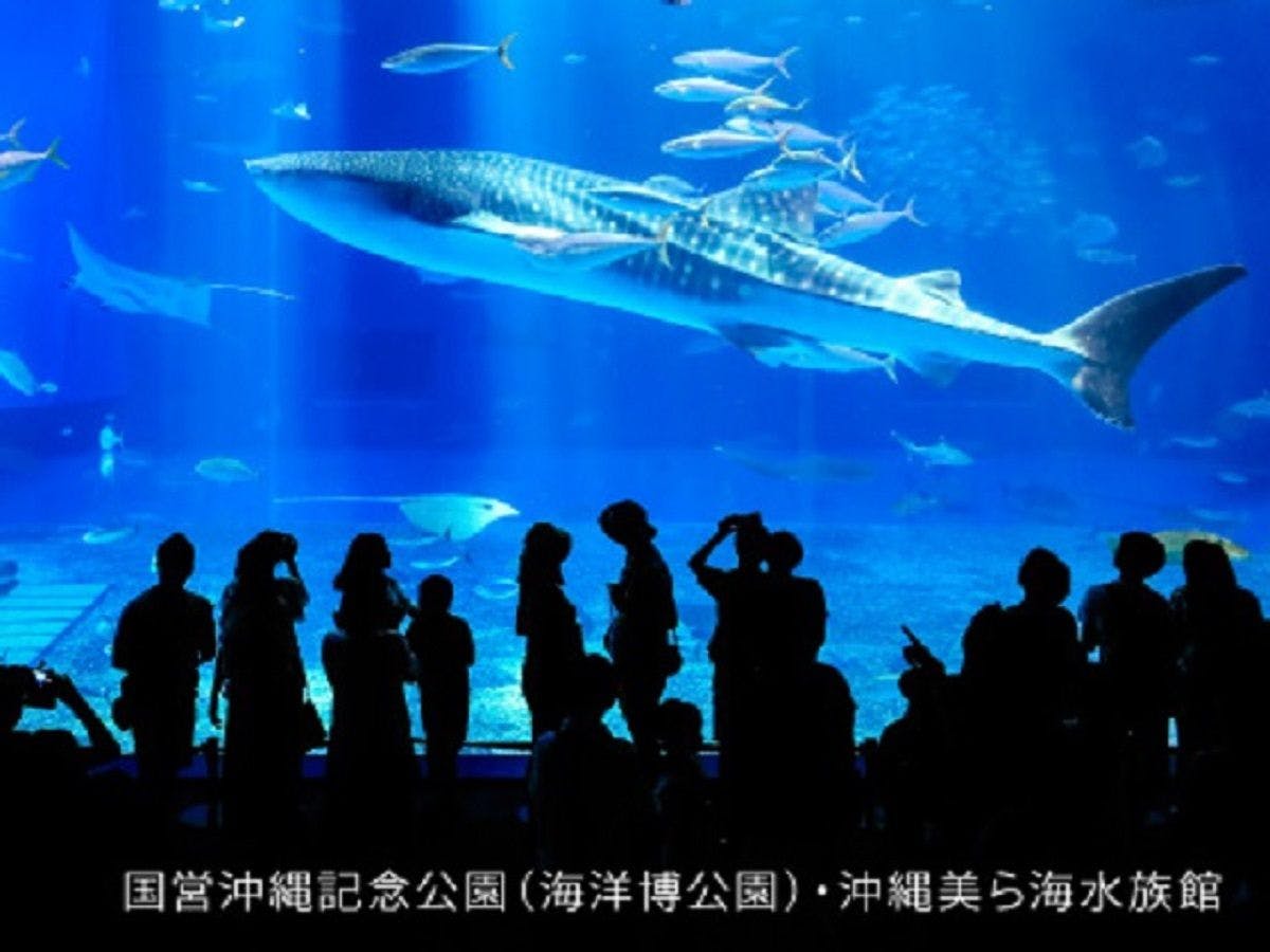 青い神秘的な空間に癒されます。