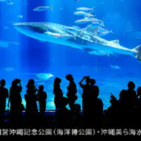 青い神秘的な空間に癒されます。