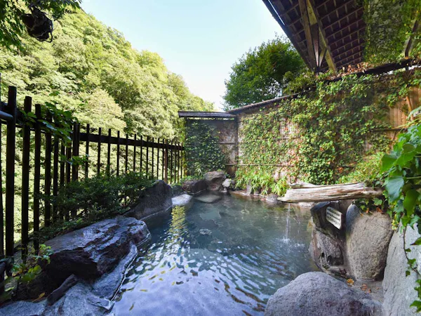 【2食付プラン】上質な鉱泉とゆったりとした和洋室で、嵯峨塩の四季を堪能する