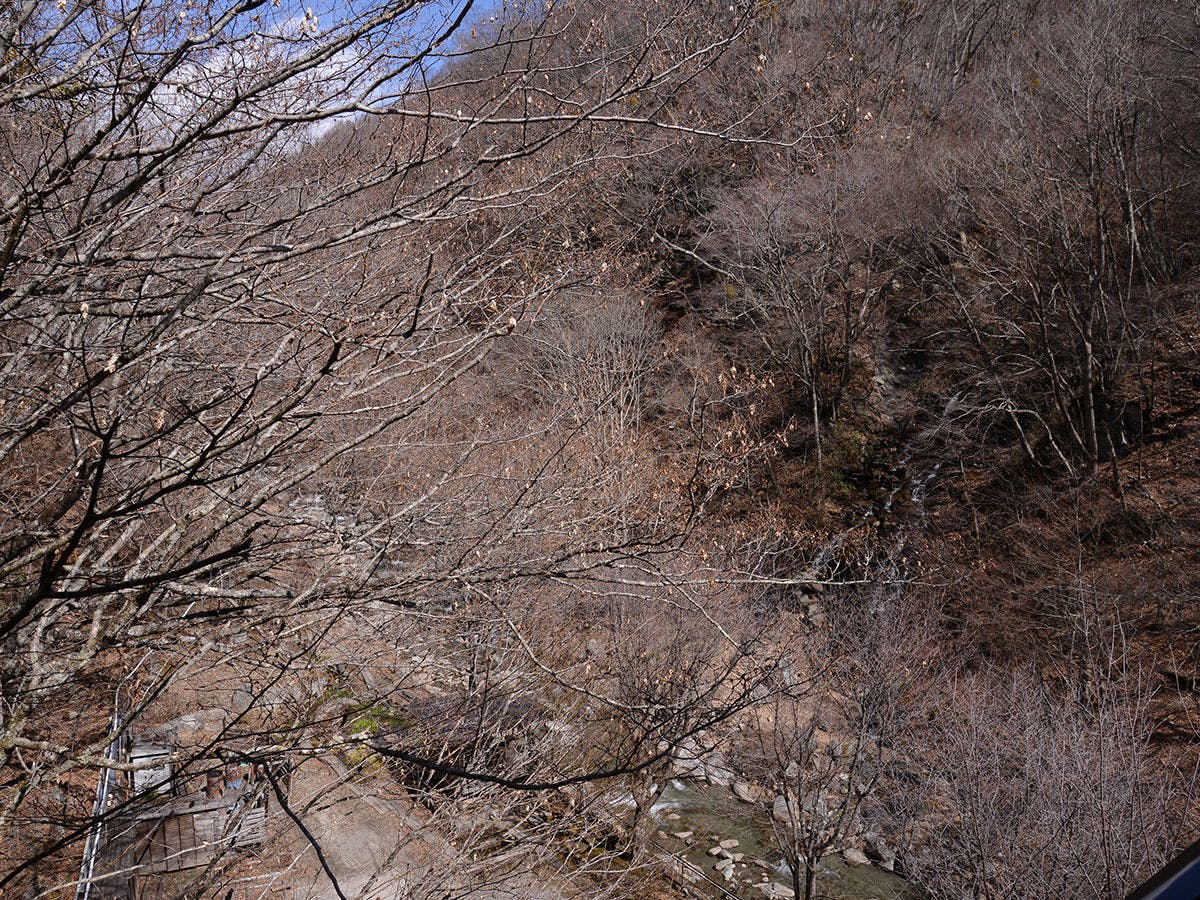 嵯峨塩鉱泉　嵯峨塩館