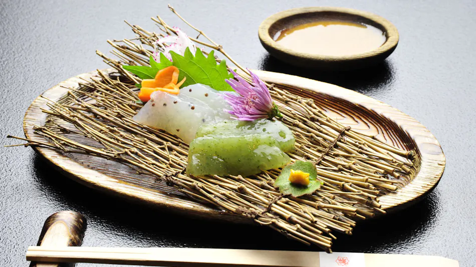 Sagashio Onsen Sagashio-kan