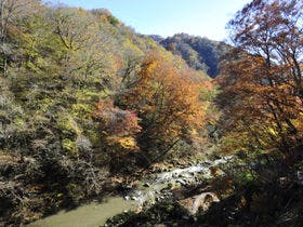 嵯峨塩鉱泉 嵯峨塩館 1枚目
