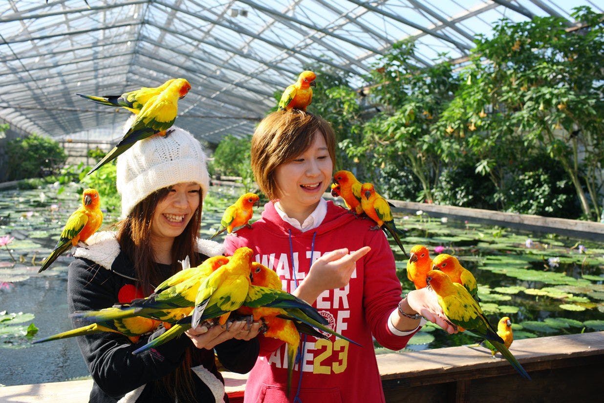 Kakegawa-shi / Kakegawa Kachouen