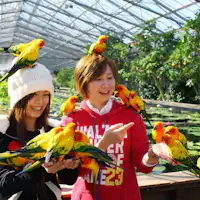 Kakegawa-shi / Kakegawa Kachouen