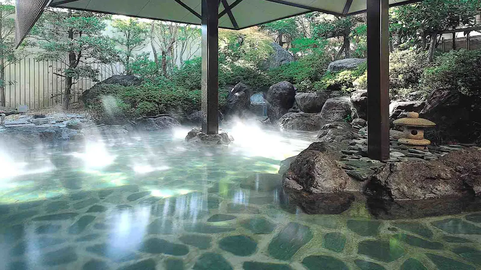 Hotel Fuji