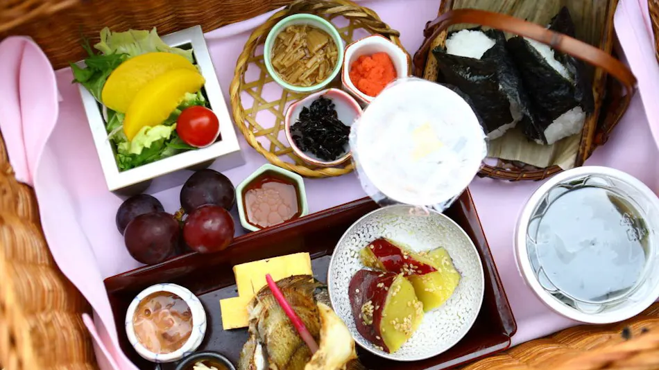 Hotel Fuji