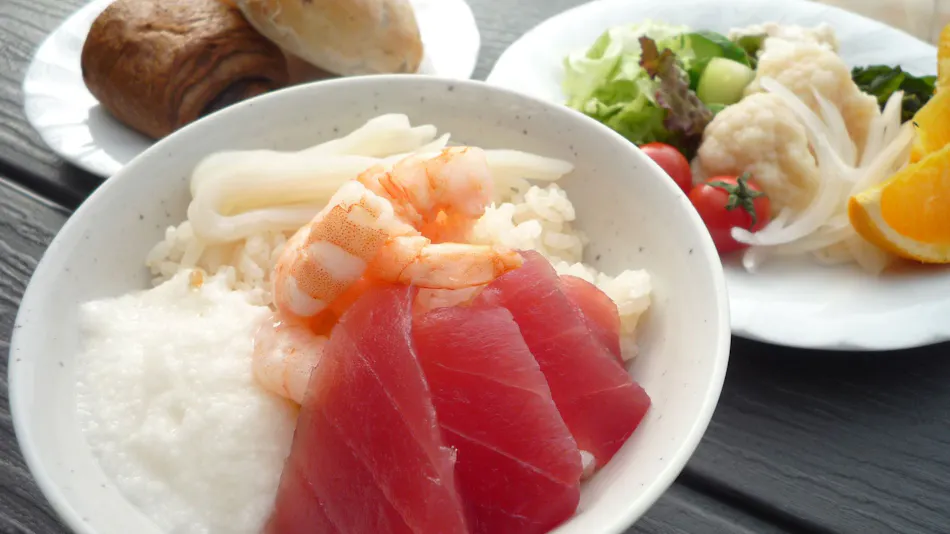Hotel Fuji