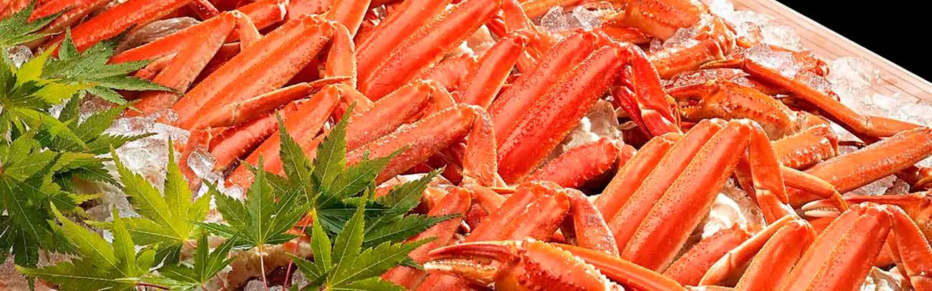 大江戸温泉物語Premium 汐美荘