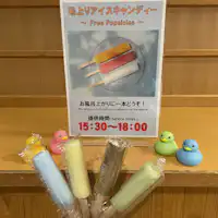 목욕 후 아이스캔디